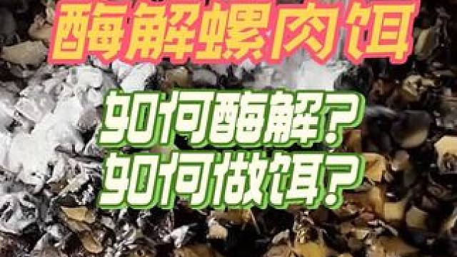 酶解螺肉饵是如何自制的？2分钟学会做这款超级鱼饵 #自制饵料 #鱼饵制作 #爆护饵料 #秘制饵料 #