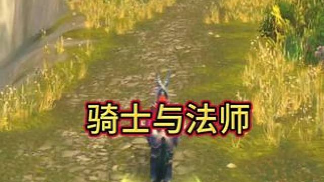 骑士与法师 #作品同步头条赢激励 #魔兽世界