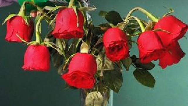 经常给孩子看这套漫画物理化启蒙书，不仅提升孩子科学思维，更能为以后打下坚实的物理化基础#物理启蒙 #