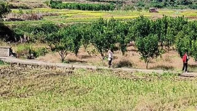 别人拼了命的嫁城里，而我却心心念念的想嫁进大山，身边的朋友都问我是不是傻，可我觉得只要能遇到一个护你