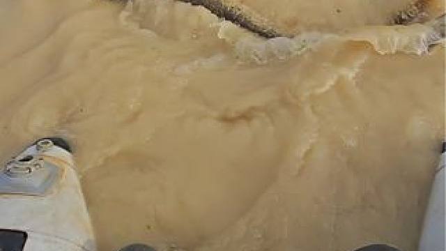 #这鱼哪个钓友看了不羡慕 #每个钓鱼人都有个百斤巨物梦 #钓鱼佬除了鱼什