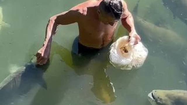 #钓鱼佬除了鱼什么都能钓到 #这鱼哪个钓友看了不羡慕