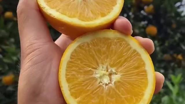 赣南脐橙上架啦