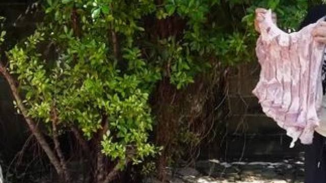 东南亚原始美味 #乡村新农人 #农场生活 #东南亚美食