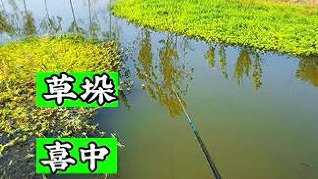 晨钓小河 出惊喜 #速散维它米 #蓝鲫青春版#野河