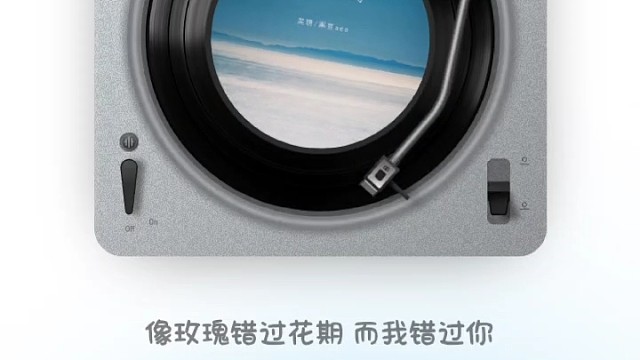 像玫瑰错过花期，而我错过你