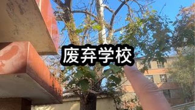 #宇小宇户外 #探险 #废弃学校