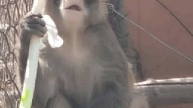 这下咱是真老实了#汽车#搞笑#万万没想到#日系车