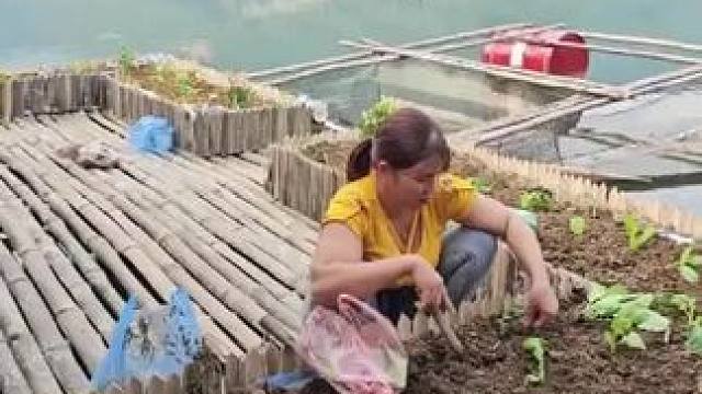 #荒野建造 #我的乡村生活 #三农 #上热门 #美女