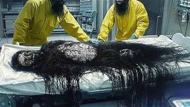 藏在冰层中的6个可怕发现（1） #南极冰墙之外的世界 #极寒之旅 #奇闻异事 #未解之谜 #科普一下