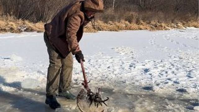 #户外捕鱼 #好多鱼