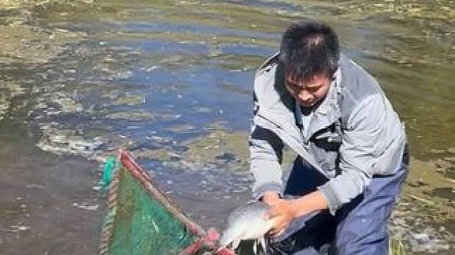 #户外捕鱼 #好大一条鱼