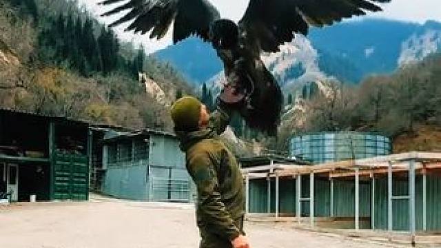 战斗民族老哥的宠物 #国外视频分享 #奇妙的动物 #宠物