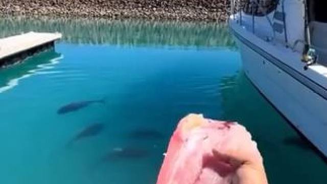 你以为是一只钢笔，其实是。。。 #玩个很新的东西 #鱼竿