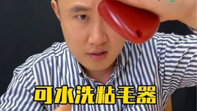 可以水洗还能反复粘毛的粘毛器真的靠谱嘛？ #测评 #粘毛器可水洗 #粘毛器猫咪 #宅家的99种松弛感