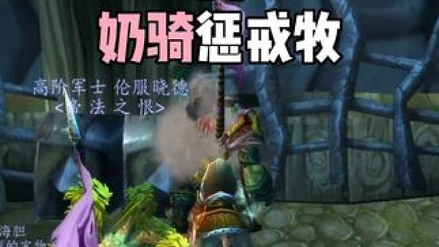 猎人奶德大战奶骑惩戒牧  #巫妖王之怒怀旧服  22竞技场解说#魔兽世界 