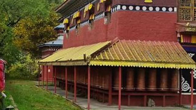 #把心放宽把事看淡 #人生是一场修行 #人生处处是风景 #每个镜头都有它的故事 #秋天的落叶是柔软的