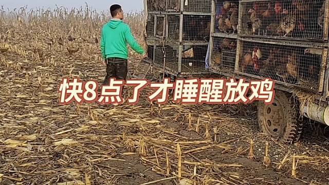 放的有点晚、着急了[捂脸]