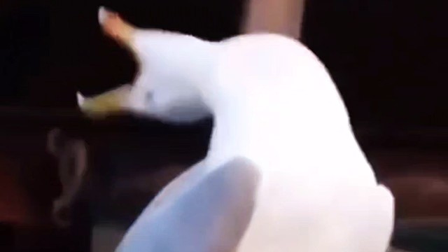 良心发现了平民玩家也可以领取大量钥匙