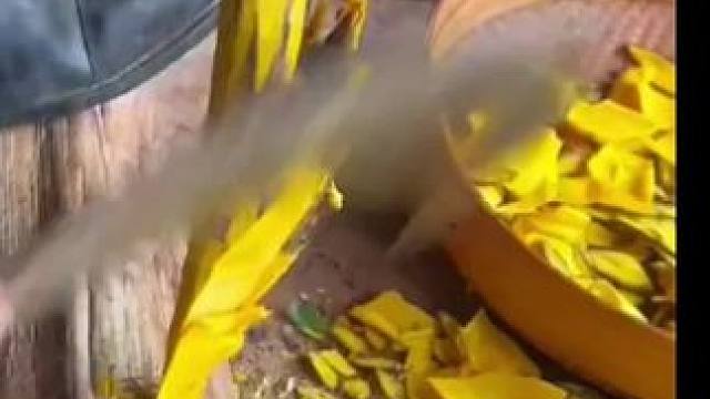 这金黄金黄的是什么木头！