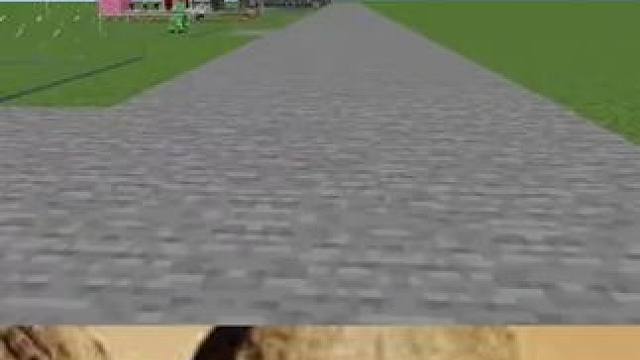 #我的世界 #Minecraft