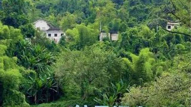 秋冬温泉度假好去处，泡温泉、坐竹筏、喂猴、游溶洞。重庆微度假 #温泉 #亲子游玩好去处 #统景温泉 