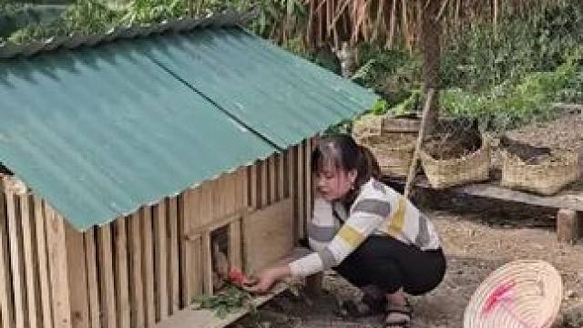 #荒野建造 #我的乡村生活#农村生活#上热门#美女