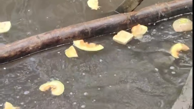 我发布了一个新视频，快来围观吧！