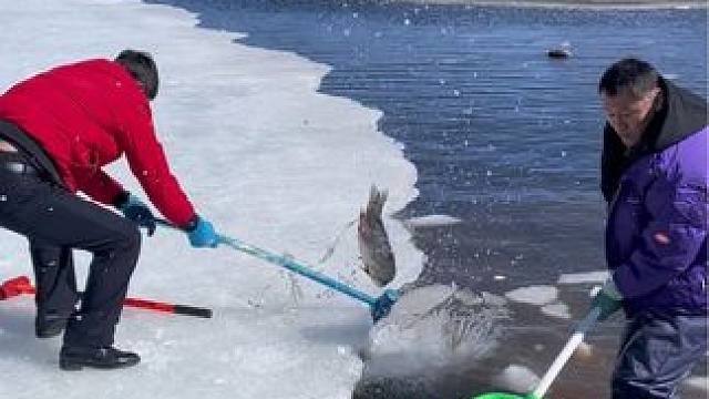 #户外捕鱼 #好多鱼