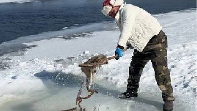 #户外捕鱼 #好多鱼