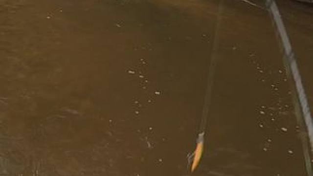 #这鱼哪个钓友看了不羡慕 #钓鱼的乐趣只有钓鱼人懂 #钓鱼佬除了鱼什么都