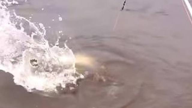 #这鱼哪个钓友看了不羡慕 #钓鱼佬除了鱼什么都能钓到 #每个钓鱼人都有个