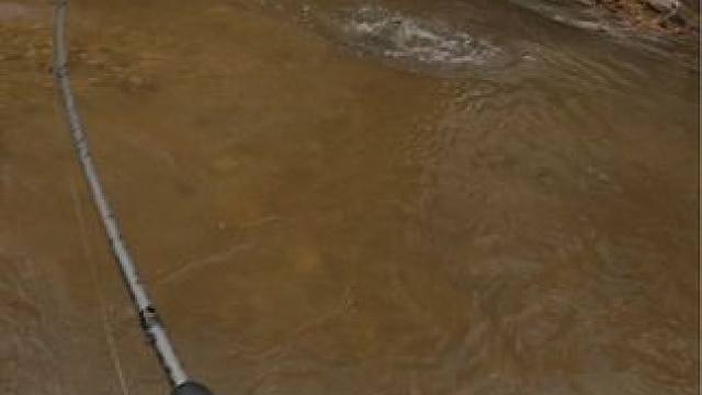 #这鱼哪个钓友看了不羡慕 #钓鱼的乐趣只有钓鱼人懂