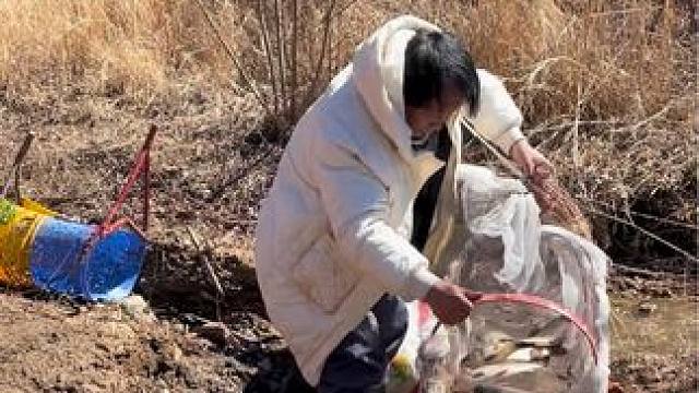 #户外捕鱼 #好多鱼