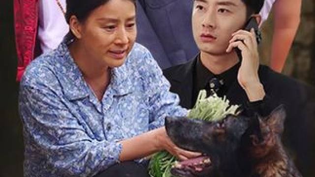 #望子归来 #望子归来大结局 #望子归来后续 #九州短剧