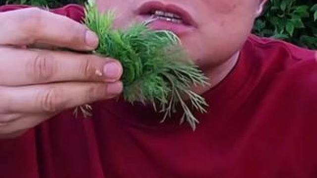 茴香泰味️酸辣海鲜拼盘️ #泰国美食 #泰国主播吃美食视频 #泰国大叔#泰国铃铛大叔切片 #这一口简