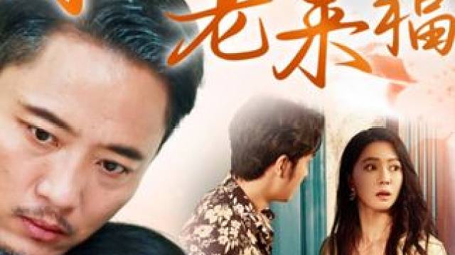 #再婚伴侣老来福 #再婚伴侣老来福大结局 #再婚伴侣老来福后续 #落尘剧场