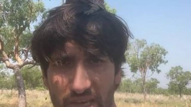 恐龙还活着 #国外视频分享 #野生动物零距离 #伞蜥