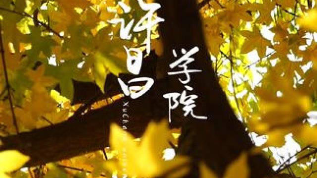 流年似水太匆匆，间隙抬眸又晚秋。
#校园 #每一帧都是热爱 #摄影 #随拍 #校园生活