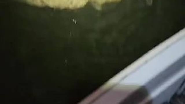 #这鱼哪个钓友看了不羡慕 #钓鱼佬除了鱼什么都能钓到 #每个钓鱼人都有个