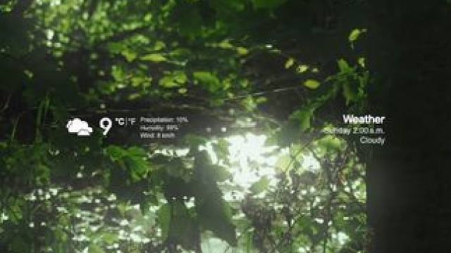 “stjæler mit hjerte” means, steal my heart.