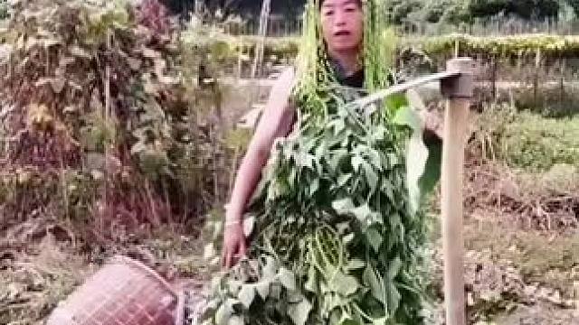 山卡卡里的农村大姐学费了开直播每天收获满满您还在恐播怕播吗#记录真实生活 #农村生活 #