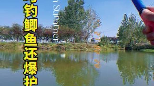 #2024dou来钓鱼 #在冬日阳光下钓个鱼吧