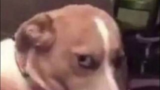 车主:我嘞个豆 你把我车电豆完了#汽车#万万没想到#小米su7