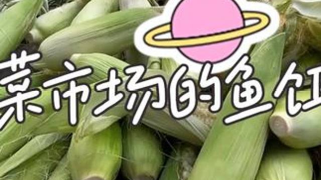 市场上的鱼饵之王 #钓鱼爱好者 #钓鱼 #钓鱼饵料 #钓鱼的乐趣只有钓鱼人懂 #钓鱼技巧教学视频