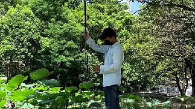 荷花塘试试这样拍#手机摄影 #拍摄技巧 #荷花塘 #每个镜头都有它的故事 #治愈系风景