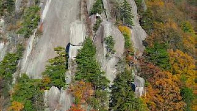 奇景总是在人迹罕至的地方，感谢大自然的恩赐，让我有幸一睹伏牛山宝天曼原始区域的奇景。#人生处处是风景