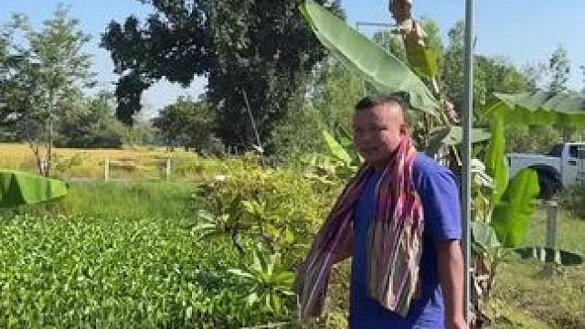 泰国生活吃牛杂赤身 #舌尖上的美食 #农村户外美食 #我是美食创作者