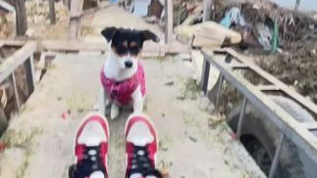 老家乡村 炊烟 柴火垛 和勤劳的乡亲 ，坐着老爸的拖拉机一切那么温暖 祥和…..如果你累了回来住住吧