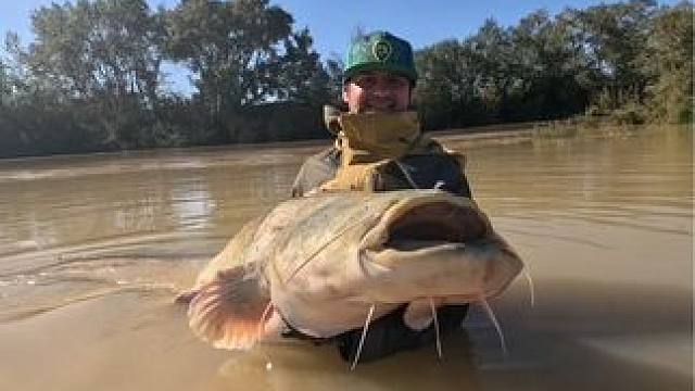 每个钓鱼人都有个百斤巨物梦~